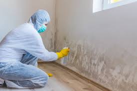 Best Real Estate Mold Inspection  in Lincoln, AR