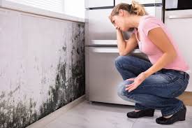 Mold Odor Removal Services in Lincoln, AR